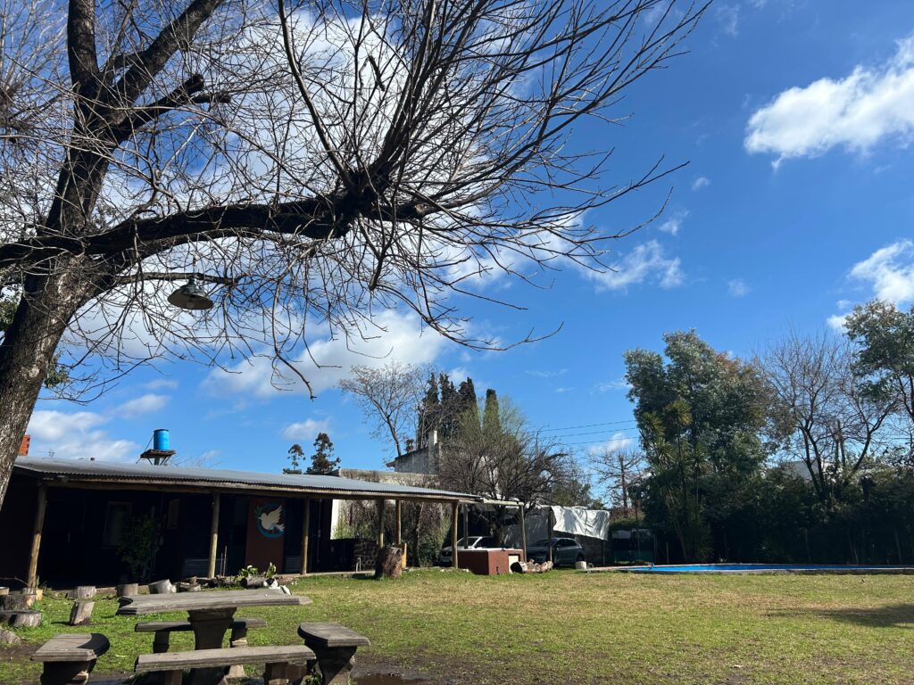 WhatsApp Image 2025-11-09 at 12.23.26 (1)