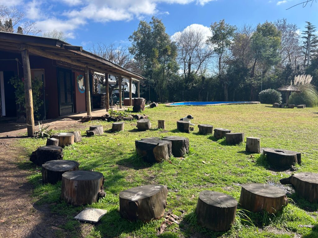 WhatsApp Image 2025-11-09 at 12.23.28